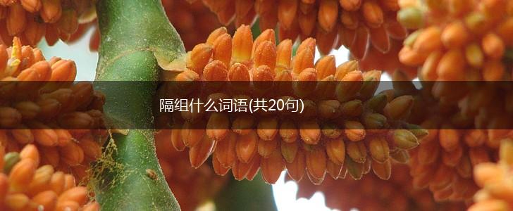 隔组什么词语(共20句),第1张