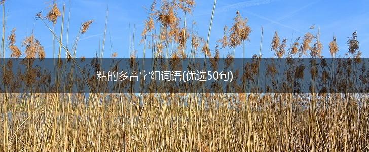 粘的多音字组词语(优选50句),第1张