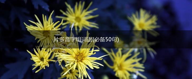 片多音字组词语(必备50句),第1张