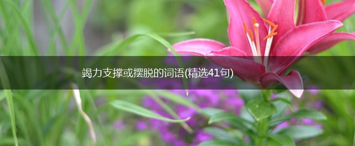 竭力支撑或摆脱的词语(精选41句),第1张 竭力支撑或摆脱的词语(精选41句),第1张