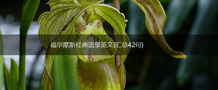 福尔摩斯经典语录英文(汇总42句),第1张