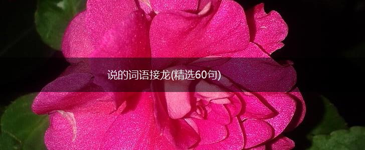 说的词语接龙(精选60句),第1张