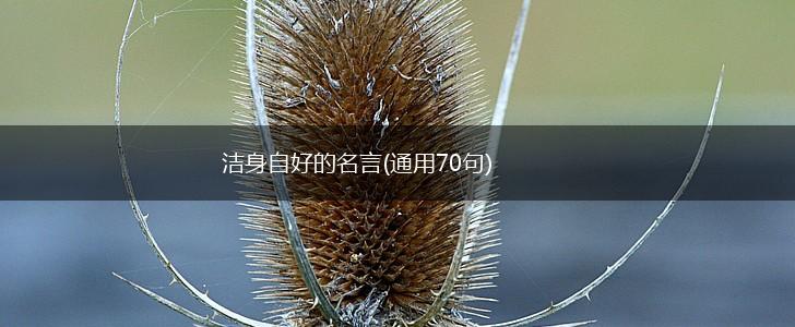 洁身自好的名言(通用70句),第1张