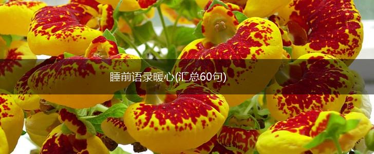 睡前语录暖心(汇总60句),第1张
