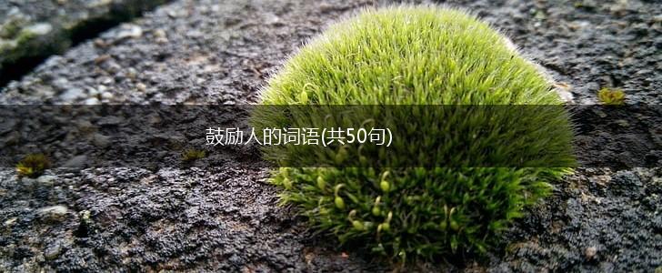 鼓励人的词语(共50句),第1张