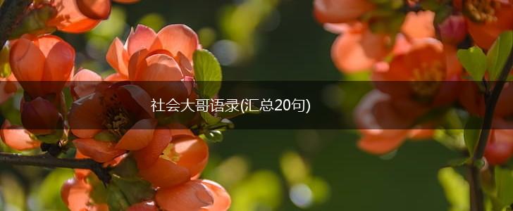 社会大哥语录(汇总20句),第1张