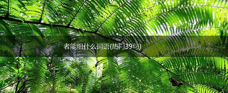 者能组什么词语(热门39句),第1张 者能组什么词语(热门39句),第1张