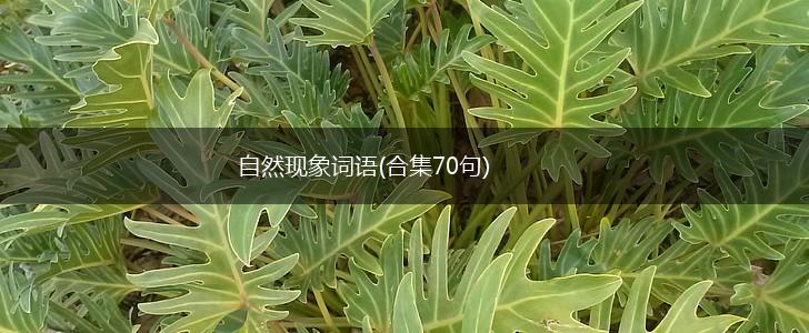 自然现象词语(合集70句),第1张