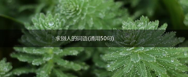 求别人的词语(通用50句),第1张