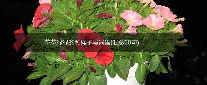 花花绿绿的照样子写词语(汇总60句),第1张