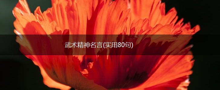 武术精神名言(实用80句),第1张