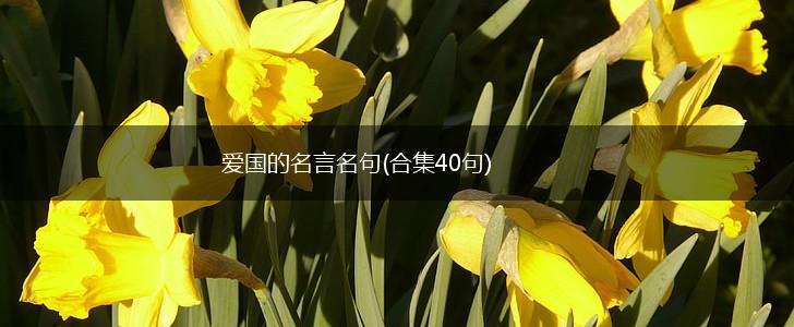 爱国的名言名句(合集40句),第1张