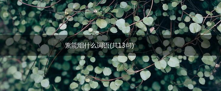 紫能组什么词语(共13句),第1张