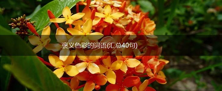 褒义色彩的词语(汇总40句),第1张