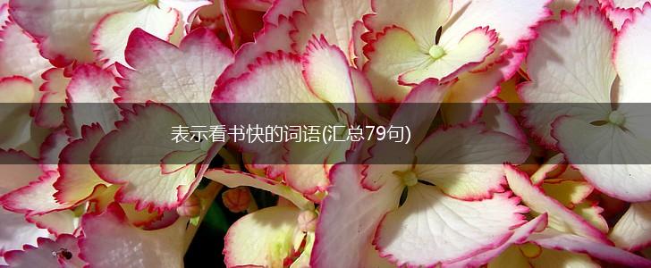 表示看书快的词语(汇总79句),第1张