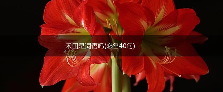 禾田是词语吗(必备40句),第1张