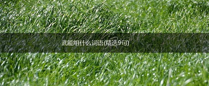 武能组什么词语(精选9句),第1张