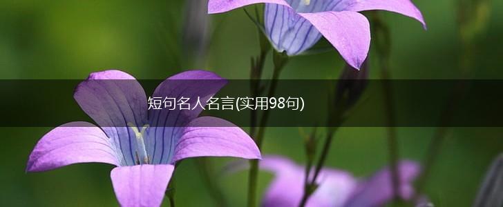 短句名人名言(实用98句),第1张