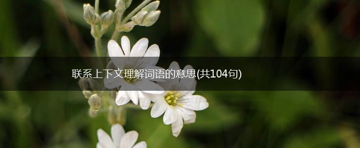 联系上下文理解词语的意思(共104句),第1张 联系上下文理解词语的意思(共104句),第1张