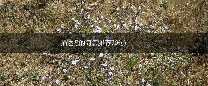 描述冬的词语(推荐70句),第1张