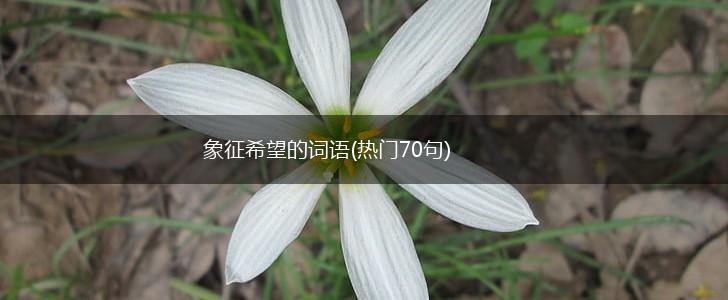 象征希望的词语(热门70句),第1张