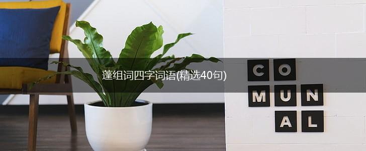 蓬组词四字词语(精选40句),第1张