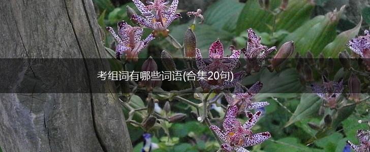 考组词有哪些词语(合集20句),第1张 考组词有哪些词语(合集20句),第1张