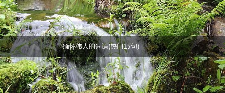 缅怀伟人的词语(热门15句),第1张 缅怀伟人的词语(热门15句),第1张