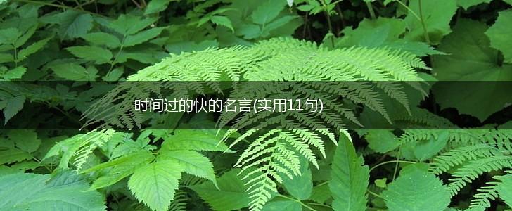 时间过的快的名言(实用11句),第1张 时间过的快的名言(实用11句),第1张