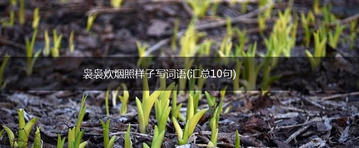 袅袅炊烟照样子写词语(汇总10句),第1张