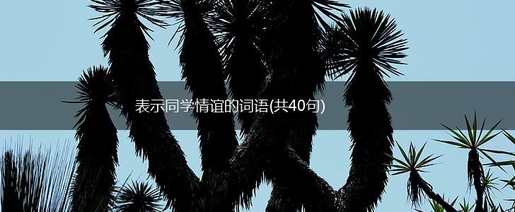 表示同学情谊的词语(共40句),第1张 表示同学情谊的词语(共40句),第1张