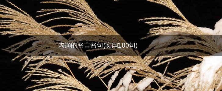 沟通的名言名句(实用100句),第1张 沟通的名言名句(实用100句),第1张