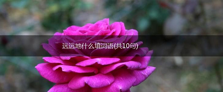 远远地什么填词语(共10句),第1张