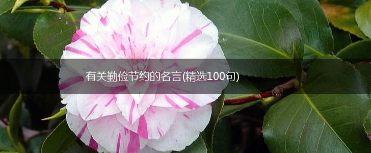 有关勤俭节约的名言(精选100句),第1张 有关勤俭节约的名言(精选100句),第1张
