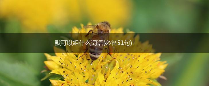 默可以组什么词语(必备51句),第1张