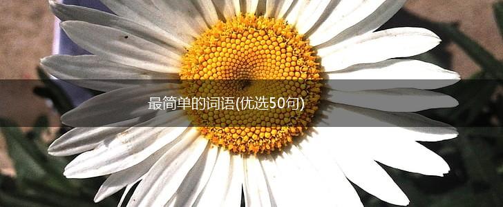 最简单的词语(优选50句),第1张