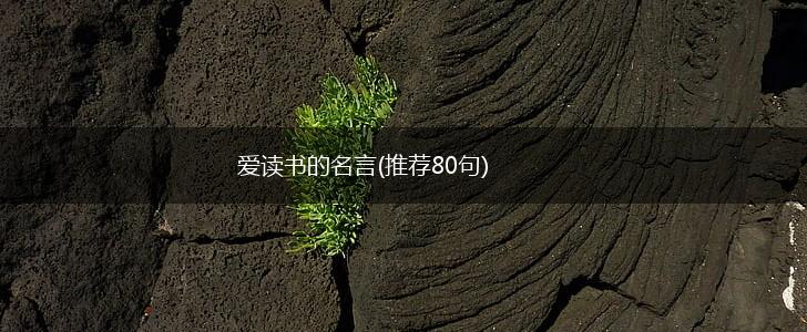爱读书的名言(推荐80句),第1张