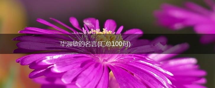 毕淑敏的名言(汇总100句),第1张