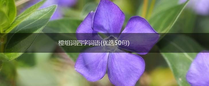 橙组词四字词语(优选50句),第1张