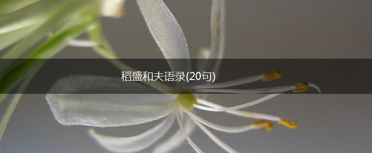稻盛和夫语录(20句),第1张