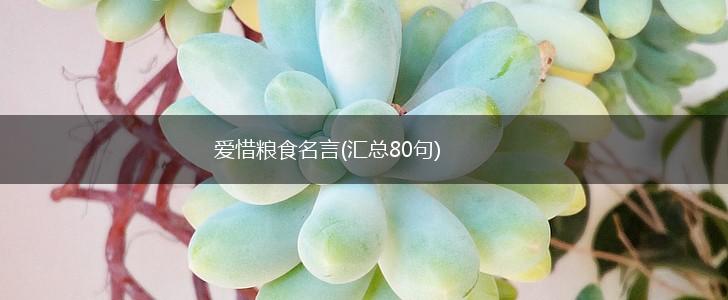 爱惜粮食名言(汇总80句),第1张