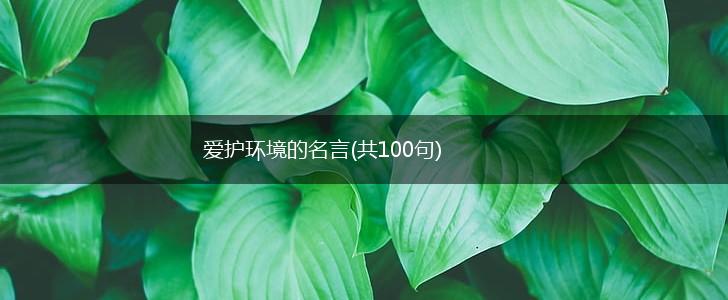 爱护环境的名言(共100句),第1张