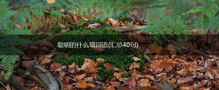 聪明的什么填词语(汇总40句),第1张