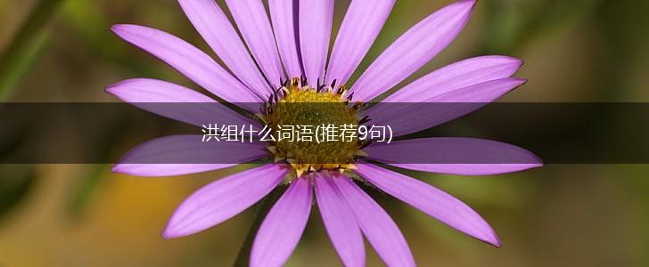 洪组什么词语(推荐9句),第1张