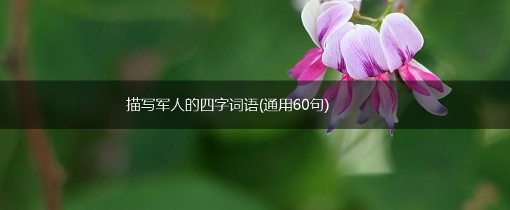 描写军人的四字词语(通用60句),第1张