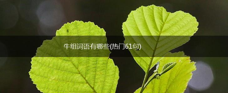 牛组词语有哪些(热门61句),第1张
