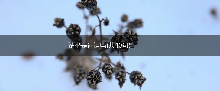 站坐是词语吗(共40句),第1张