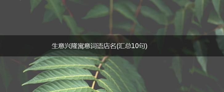 生意兴隆寓意词语店名(汇总10句),第1张