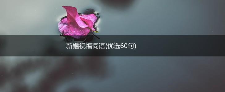 新婚祝福词语(优选60句),第1张 新婚祝福词语(优选60句),第1张