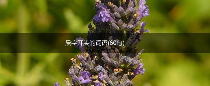 晨字开头的词语(60句),第1张